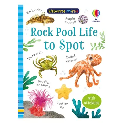 "Rock Pool Life to Spot" - "" ("Tudhope Simon")(Paperback / softback)