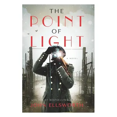 "The Point of Light" - "" ("Ellsworth John")(Paperback)