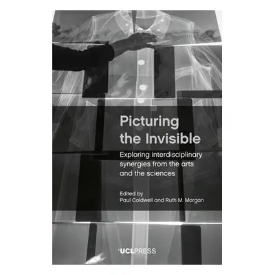 "Picturing the Invisible: Exploring Interdisciplinary Synergies from the Arts and the Sciences" 