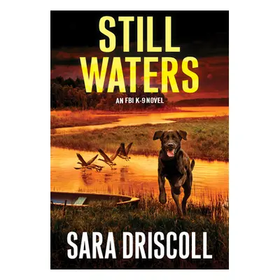 "Still Waters: A Riveting Novel of Suspense" - "" ("Driscoll Sara")(Pevná vazba)