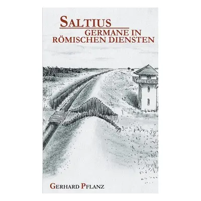 "Saltius - Germane in Rmischen Diensten: Eine Geschichte aus dem dritten Jahrhundert nach Christ