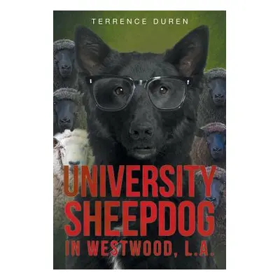 "University Sheepdog in Westwood, L.A." - "" ("Duren Terrence")(Paperback)