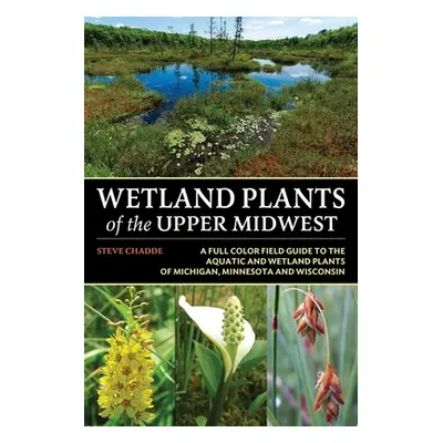 "Wetland Plants of the Upper Midwest" - "" ("Chadde Steve W.")(Paperback)