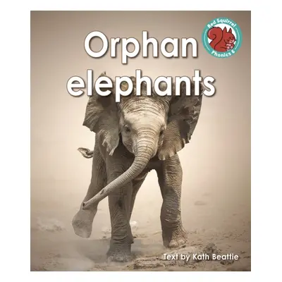 "Orphan elephants" - "" ("Beattie Kath")(Paperback / softback)