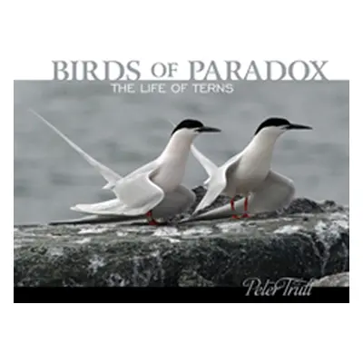 "Birds of Paradox: The Life of Terns" - "" ("Trull Peter")(Pevná vazba)