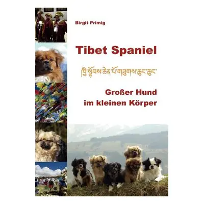 "Tibet Spaniel: Groer Hund im kleinen Krper" - "" ("Primig Birgit")(Paperback)