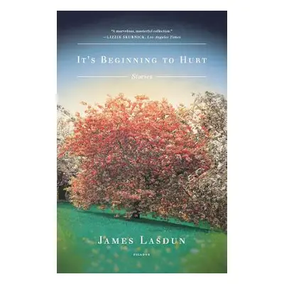 "It's Beginning to Hurt" - "" ("Lasdun James")(Paperback)