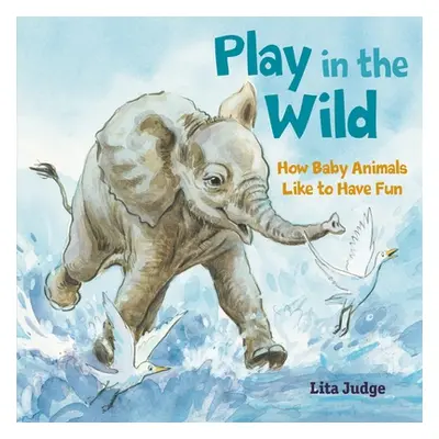 "Play in the Wild: How Baby Animals Like to Have Fun" - "" ("Judge Lita")(Pevná vazba)