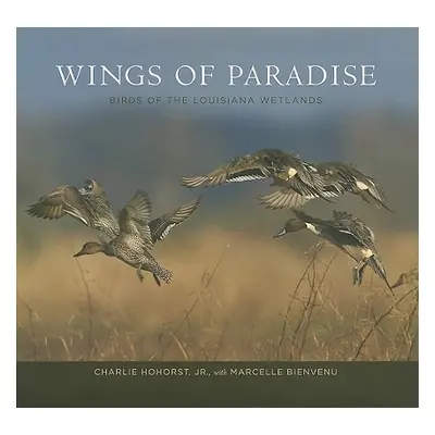 "Wings of Paradise: Birds of the Louisiana Wetlands" - "" ("Hohorst Charlie")(Pevná vazba)