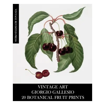 "Vintage Art: Giorgio Gallesio 20 Botanical Fruit Prints" - "" ("Press Vintage Revisited")(Paper