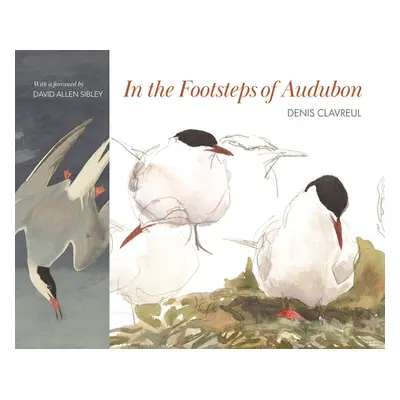 "In the Footsteps of Audubon" - "" ("Clavreul Denis")(Pevná vazba)