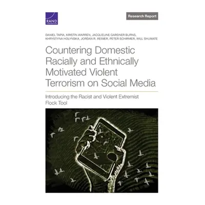 "Countering Domestic Racially and Ethnically Motivated Violent Terrorism on Social Media: Introd