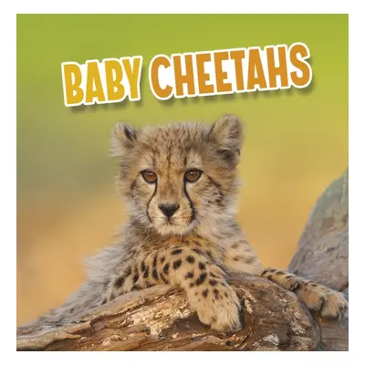 "Baby Cheetahs" - "" ("Rustad Martha E. H.")(Paperback / softback)