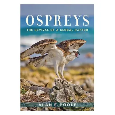 "Ospreys: The Revival of a Global Raptor" - "" ("Poole Alan F.")(Pevná vazba)