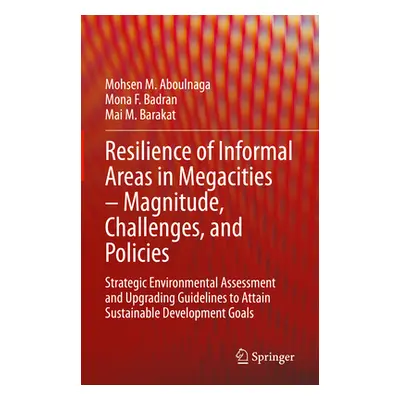 "Resilience of Informal Areas in Megacities - Magnitude, Challenges, and Policies: Strategic Env