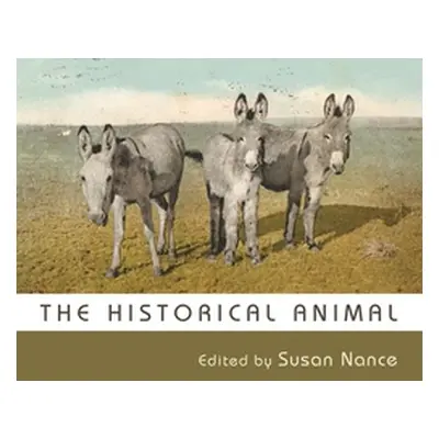 "The Historical Animal" - "" ("Nance Susan")(Paperback)