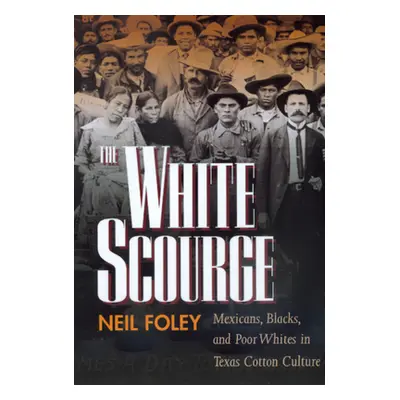 "The White Scourge, 2: Mexicans, Blacks, and Poor Whites in Texas Cotton Culture" - "" ("Foley N