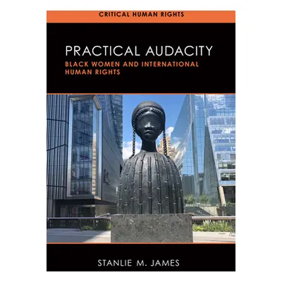 "Practical Audacity: Black Women and International Human Rights" - "" ("James Stanlie M.")(Paper