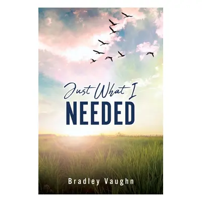 "Just What I Needed" - "" ("Vaughn Bradley")(Paperback)