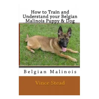 "How to Train and Understand Your Belgian Malinois Puppy & Dog" - "" ("Stead Vince")(Paperback)