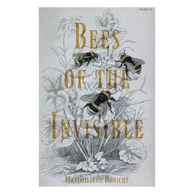 "Bees of the Invisible" - "" ("Donicht Maximiliane")(Paperback)