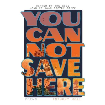 "You Cannot Save Here" - "" ("Moll Anthony")(Paperback)