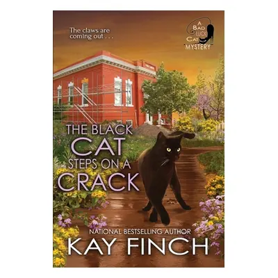 "The Black Cat Steps on a Crack" - "" ("Finch Kay")(Paperback)