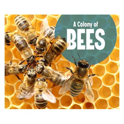 "Colony of Bees" - "" ("Raatma Lucia")(Paperback / softback)