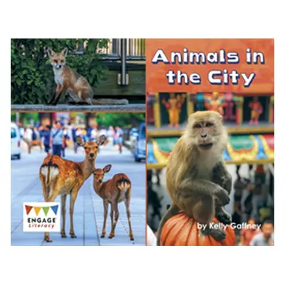 "Animals in the City" - "" ("Gaffney Kelly")(Paperback / softback)