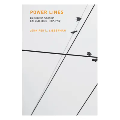 "Power Lines: Electricity in American Life and Letters, 1882-1952" - "" ("Lieberman Jennifer L."