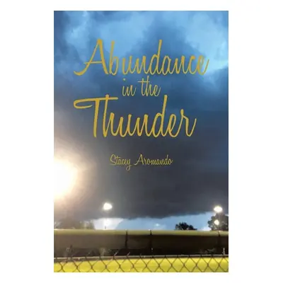 "Abundance in the Thunder" - "" ("Aromando Stacey")(Paperback)