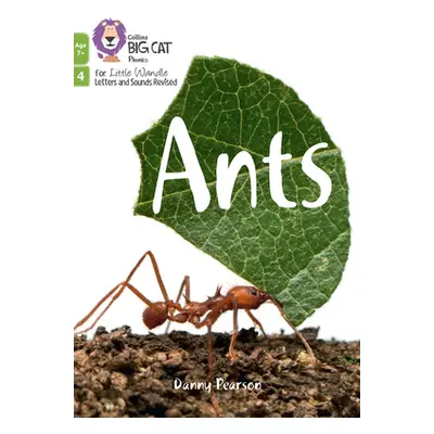 "Ants" - "Phase 4 Set 2" ("Pearson Danny")(Paperback / softback)