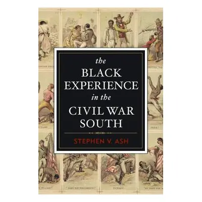 "The Black Experience in the Civil War South" - "" ("Ash Stephen V.")(Paperback)