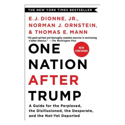 "One Nation After Trump: A Guide for the Perplexed, the Disillusioned, the Desperate, and the No