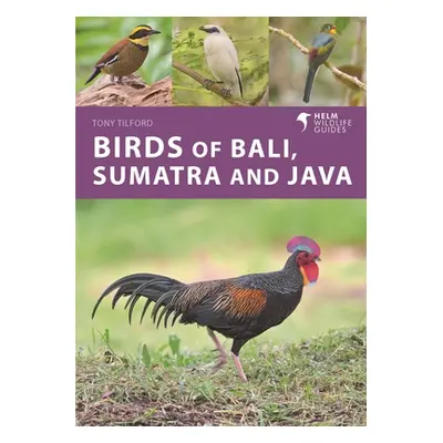 "Birds of Bali, Sumatra and Java" - "" ("Tilford Tony")(Paperback)