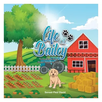 "Life of Bailey: A True Life Story From Puppy To Dog" - "" ("David Sensei Paul")(Paperback)