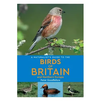 "A Naturalist's Guide to the Birds of Britain & Northern Europe" - "" ("Goodfellow Peter")(Paper