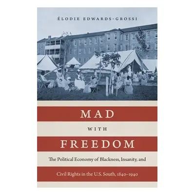 "Mad with Freedom: The Political Economy of Blackness, Insanity, and Civil Rights in the U.S. So