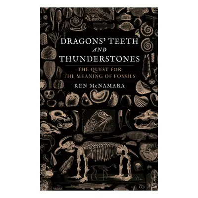 "Dragons' Teeth and Thunderstones: The Quest for the Meaning of Fossils" - "" ("McNamara Ken")(P