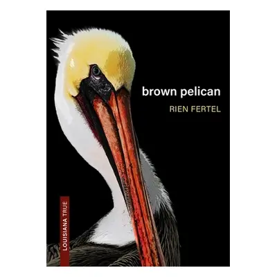 "Brown Pelican" - "" ("Fertel Rien")(Paperback)