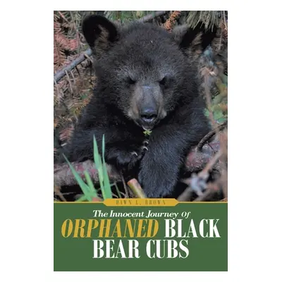 "The Innocent Journey of Orphaned Black Bear Cubs" - "" ("Brown Dawn L.")(Paperback)