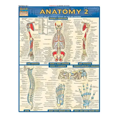 "Anatomy 2 - Reference Guide" - "" ("Perez Vincent")(Fold-out book or chart)