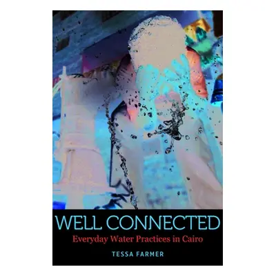 "Well Connected: Everyday Water Practices in Cairo" - "" ("Farmer Tessa")(Paperback)