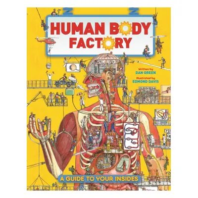 "Human Body Factory" - "A Guide To Your Insides" ("Green Dan")(Paperback / softback)