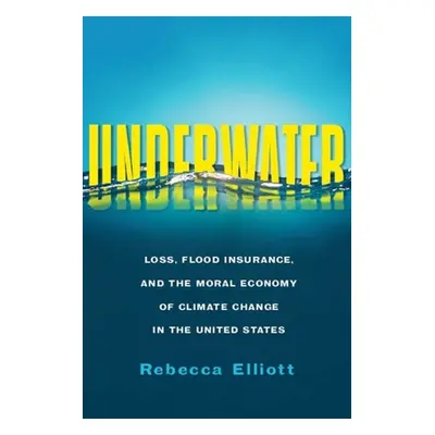 "Underwater: Loss, Flood Insurance, and the Moral Economy of Climate Change in the United States