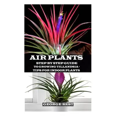 "Air Plant: Step by Step Guide to Growing Tillandsia + Tips for Indoor Plants" - "" ("Best Georg