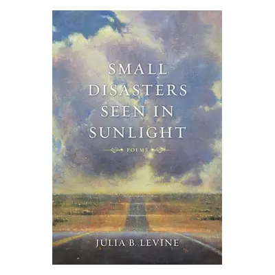 "Small Disasters Seen in Sunlight" - "" ("Levine Julia B.")(Paperback)