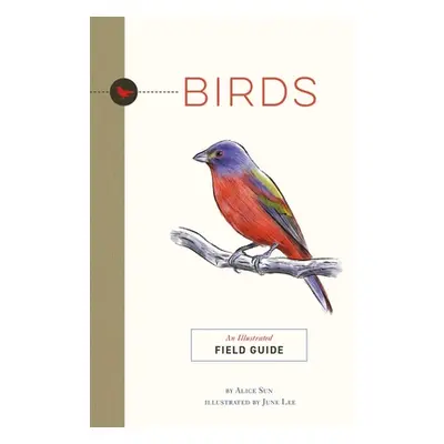 "Birds: An Illustrated Field Guide" - "" ("Lee June")(Paperback)