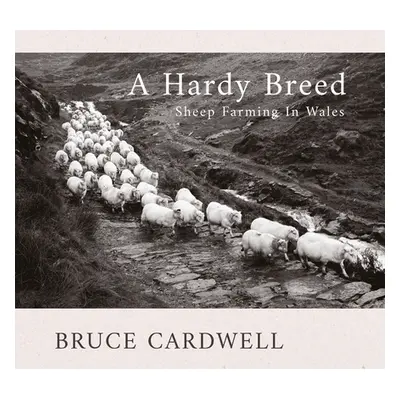 "A Hardy Breed: Sheep Farming in Wales" - "" ("Cardwell Bruce")(Paperback)