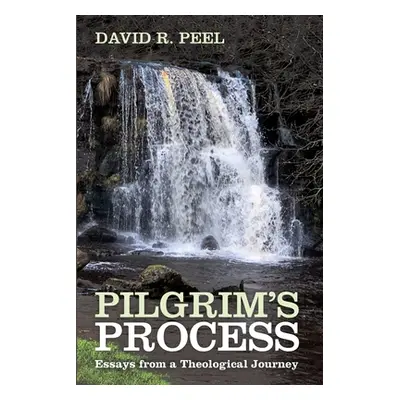 "Pilgrim's Process" - "" ("Peel David R.")(Paperback)